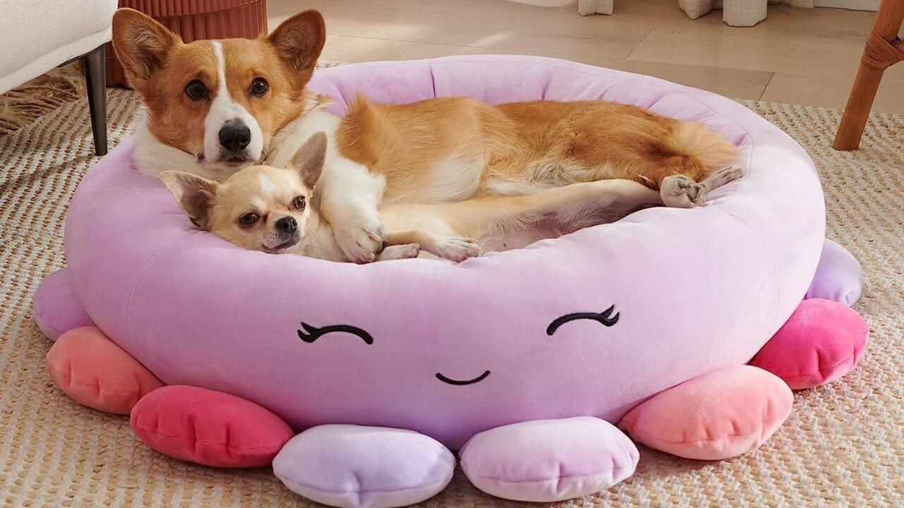 Beula the Octopus Pet Bed with Two Dogs