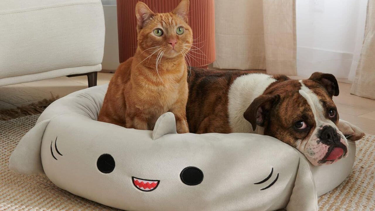 Gordon the Shark Pet Bed with Cat and Dog