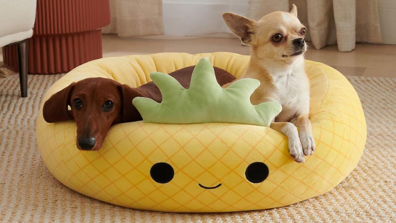 Maui Pet Bed with Two Dogs