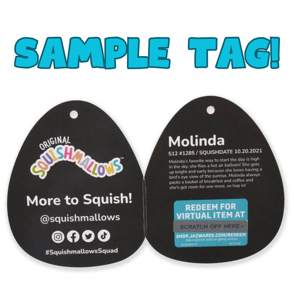Sample Molinda Squishmallow Tag Showing How to Redeem Code