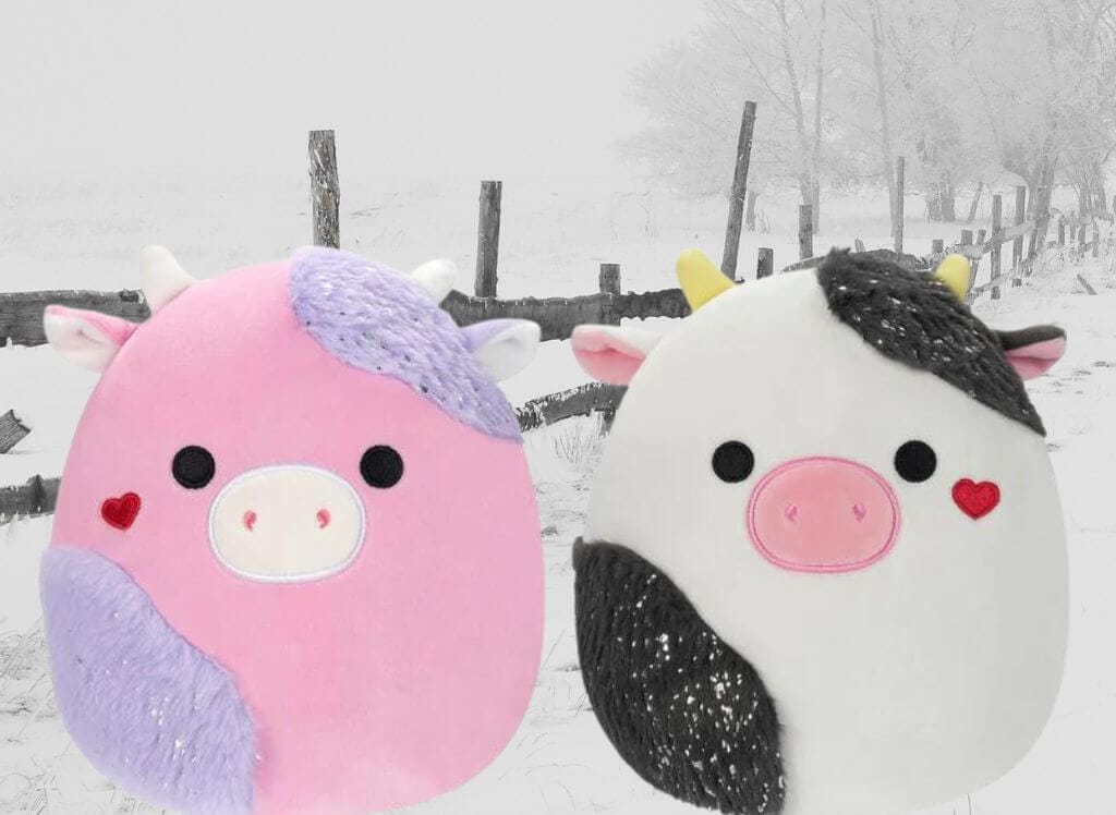 Patty and Connor just chillin' on the chilly farm in January 2024!