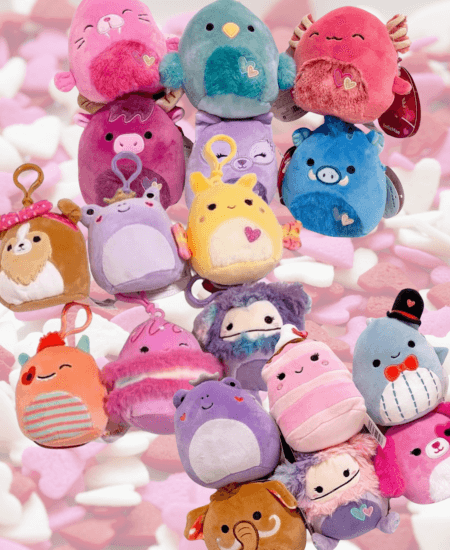 Sets of Squishmallow Valentine Minis