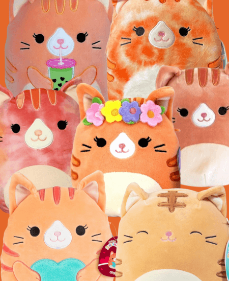 Purr with Delight! Grab an Orange Cat Squishmallow Cutie!