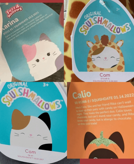 Squishmallow Tags with Collector Numbers